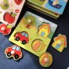 Montessori Fruit Puzzle Board for Kids - 3D Wooden Toy for Early Education and Cognitive Development