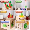 Montessori Carrot Shape Matching Toy - 8-in-1 Wooden Puzzle for Kids' Early Education and Sensory Development