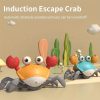 Crawling Crab Baby Toy Gift Tummy Time Toys Walking Dancing Cute Essentials Electric Induction Sensory Stuff Moving Babies Crabs With Light Up Music For Toddler Boys Girls Items Interaction Gadgets